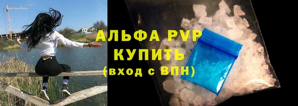 apvp Инта