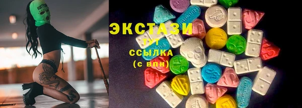шишки Инсар