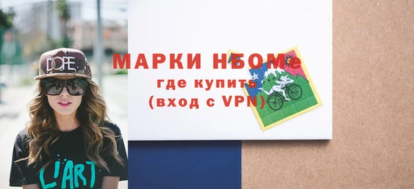 apvp Инта