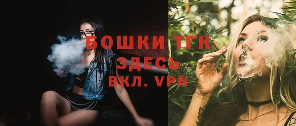 шишки Инсар