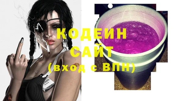 молекула духа Чердынь