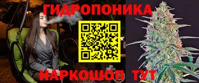 гашик Балаково