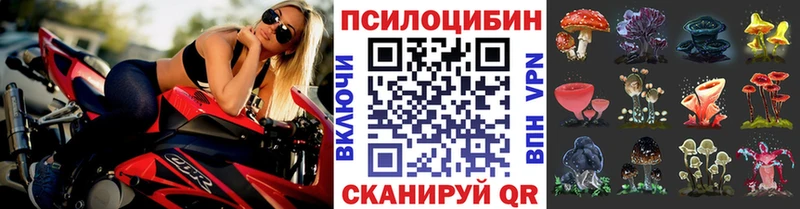 Псилоцибиновые грибы прущие грибы Большой Камень