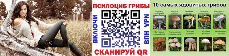 мега маркетплейс  наркошоп  Большой Камень  Псилоцибиновые грибы Psilocybine cubensis 