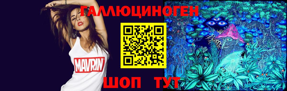 Галлюциногенные грибы прущие грибы  Вход с VPN  Псилоцибиновые грибы прущие грибы  Большой Камень 